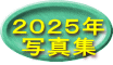 ２０２５年 写真集
