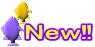 New‼